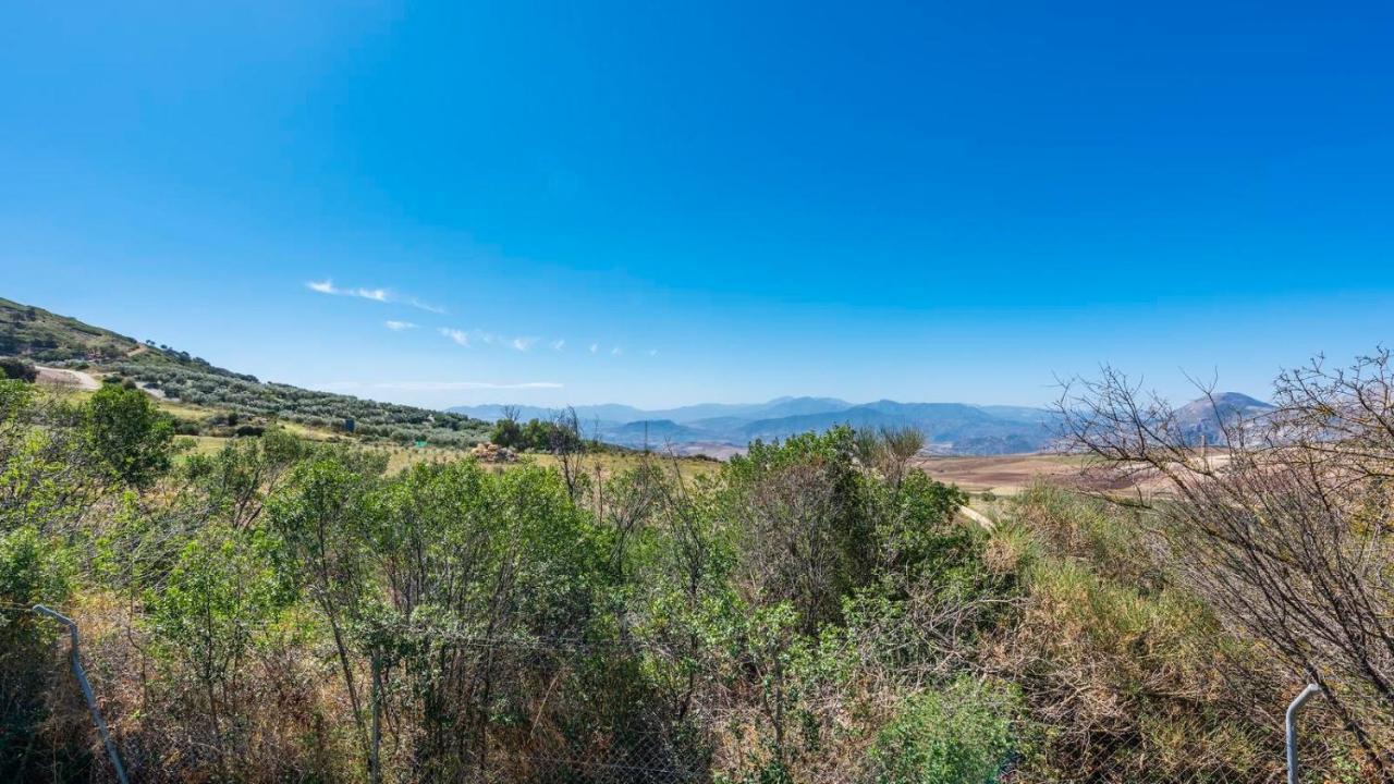 Los Olivos Antequera - Los Nogales By Ruralidays מראה חיצוני תמונה